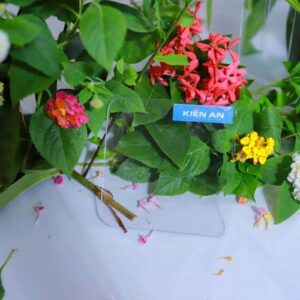 Poly đặc màu trắng trong